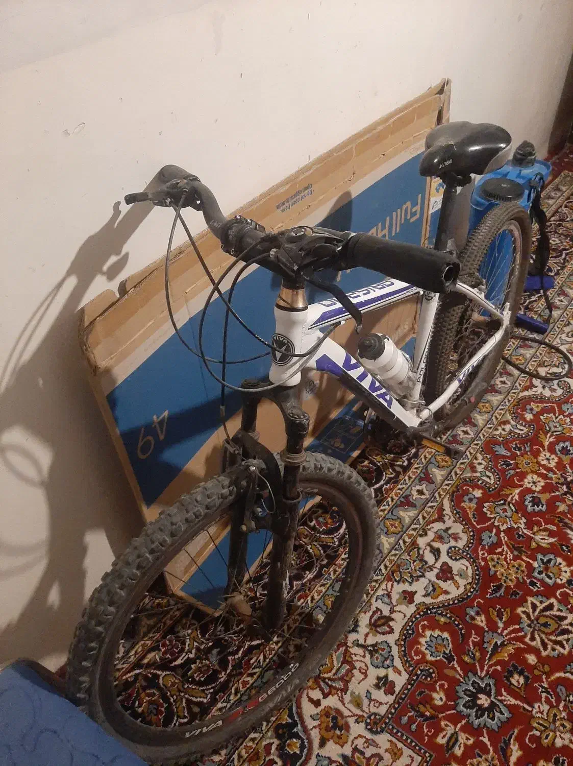 دوچرخه ویوا ۲۶ اصل|دوچرخه، اسکیت، اسکوتر|کامیاران, |دیوار