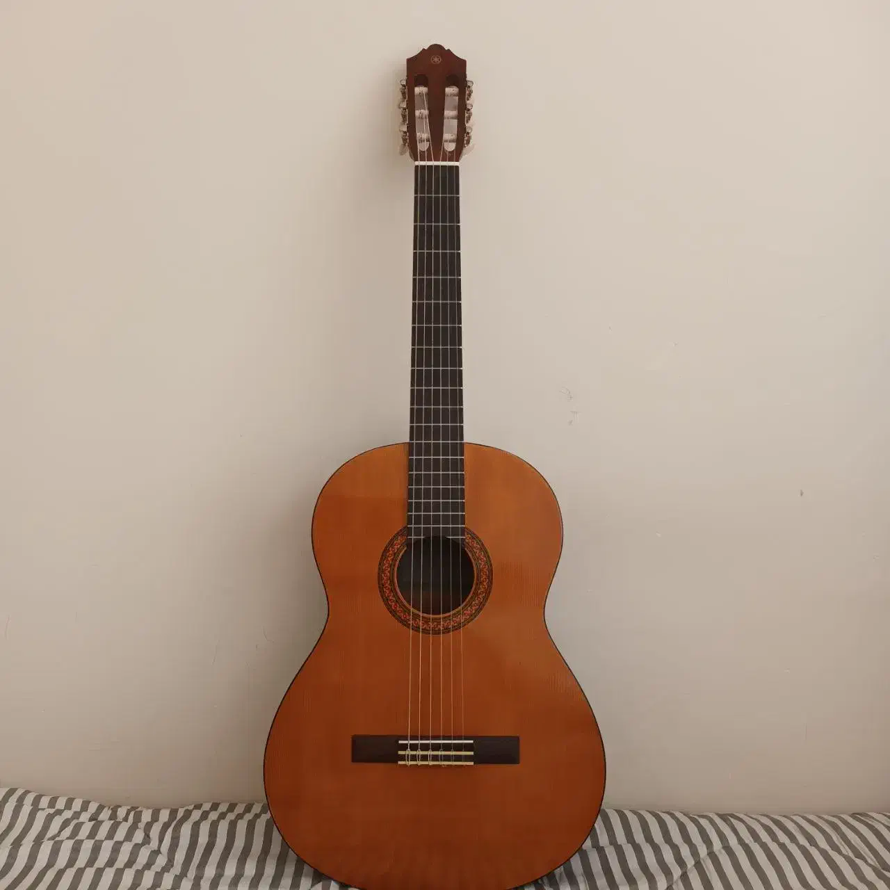 گیتار نو یاماها|گیتار، بیس، امپلیفایر|گلوگاه, |دیوار