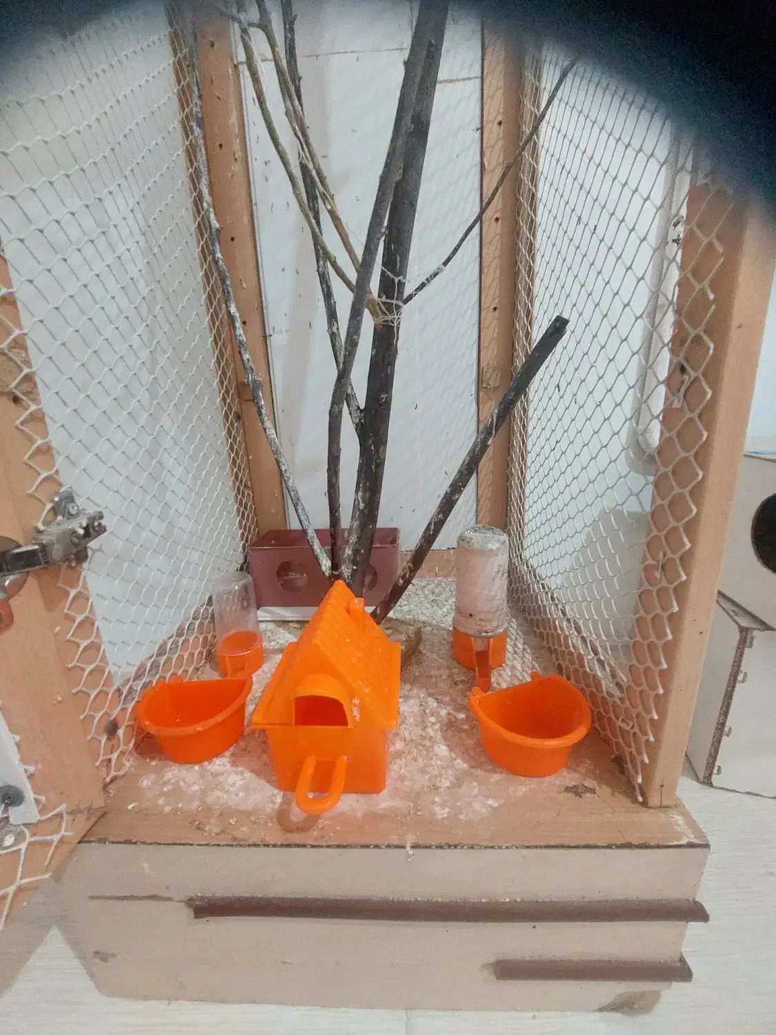 قفس|لوازم جانبی حیوانات|مشهد, میان ولایت|دیوار