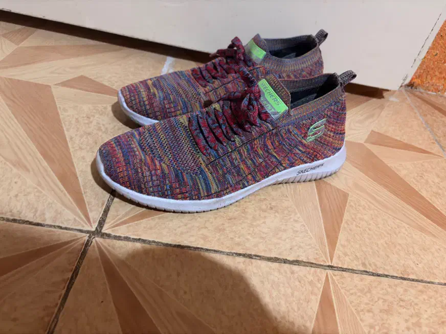 کفش|کیف، کفش، کمربند|گرگان, |دیوار