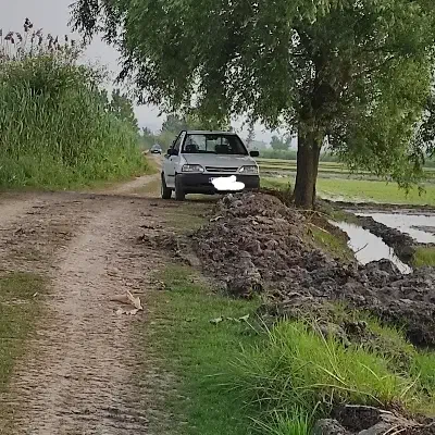 پراید ۱۵۱ وانت  بار مدل۹۳|خودرو سواری و وانت|بابل, |دیوار