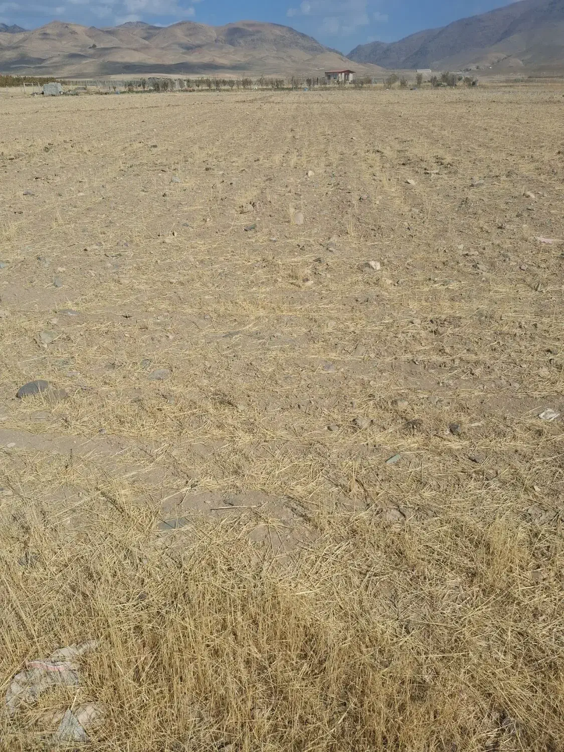 زمین کشاورزی مناسب برای ایجاد باغ|فروش دفتر صنعتی، کشاورزی، تجاری|قره پشتلو, |دیوار