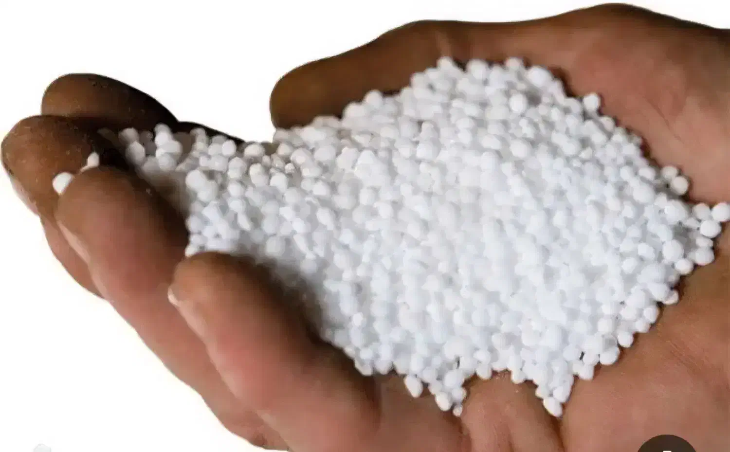 کود سفید|خدمات باغبانی و درختکاری|کوهدشت, |دیوار