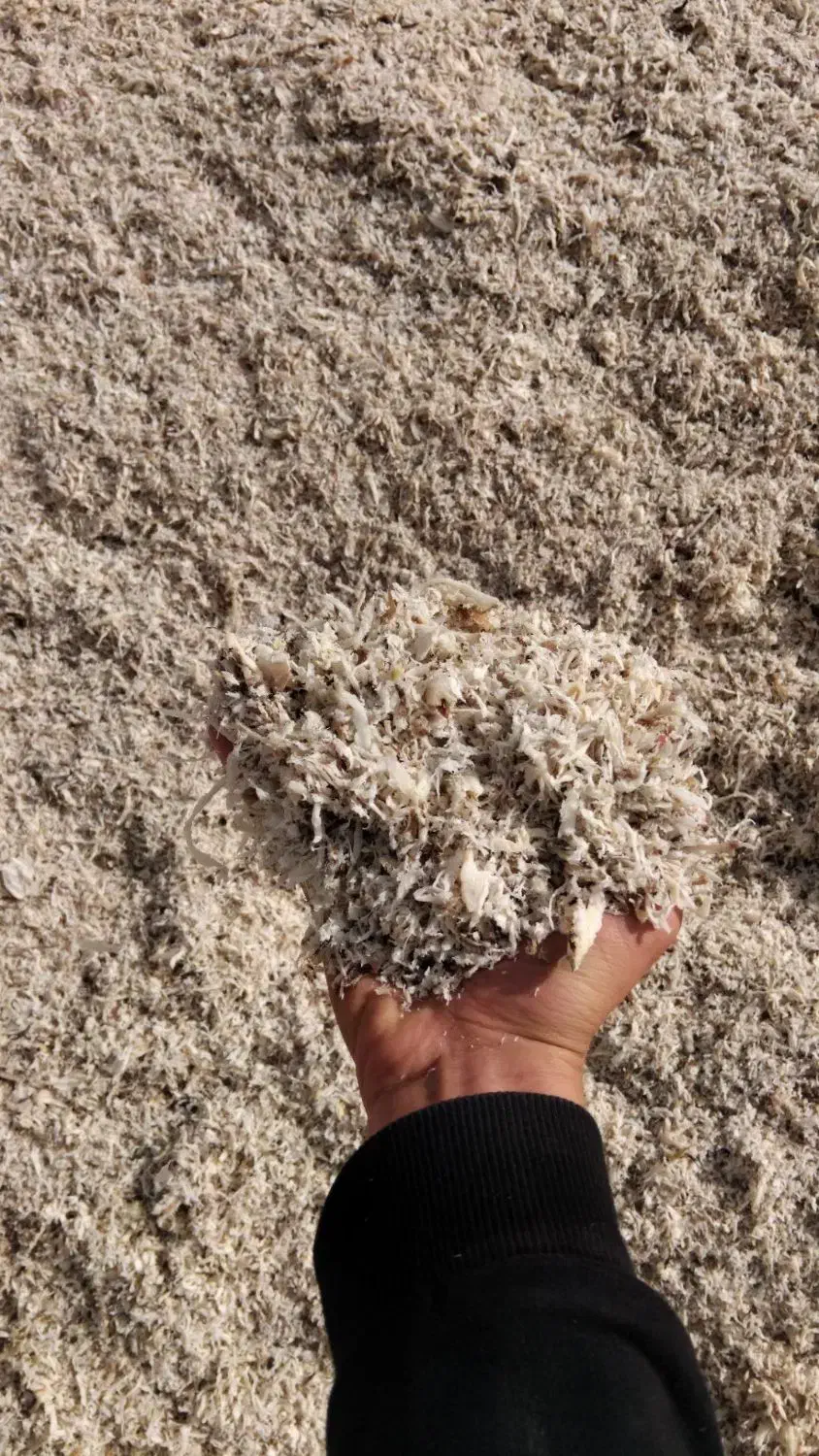 تفاله چغندر میاندواب|حیوانات مزرعه|لیلان, |دیوار