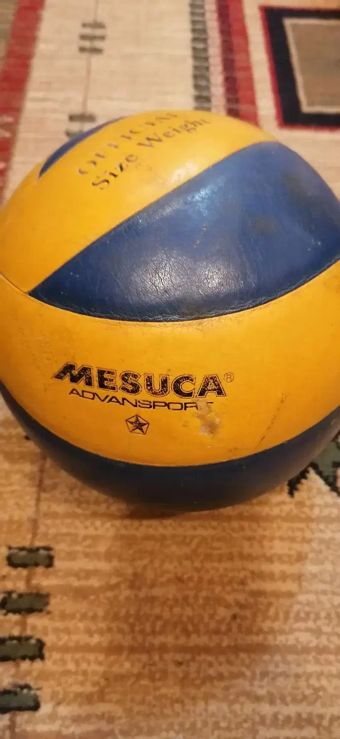 توپ والیبال|ورزش‌های توپی|شاهین‌شهر, فیض|دیوار