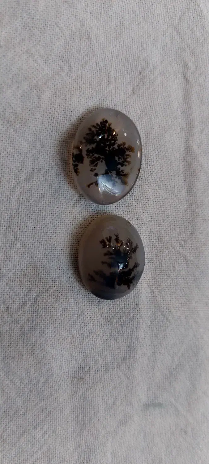 سنگ شجر|کلکسیون اشیاء عتیقه|تهران, جوادیه تهرانپارس|دیوار