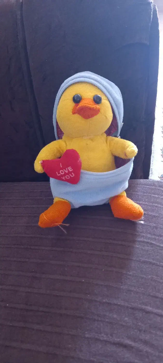 عروسک های پولیشی|اسباب‌‌بازی|دامغان, |دیوار