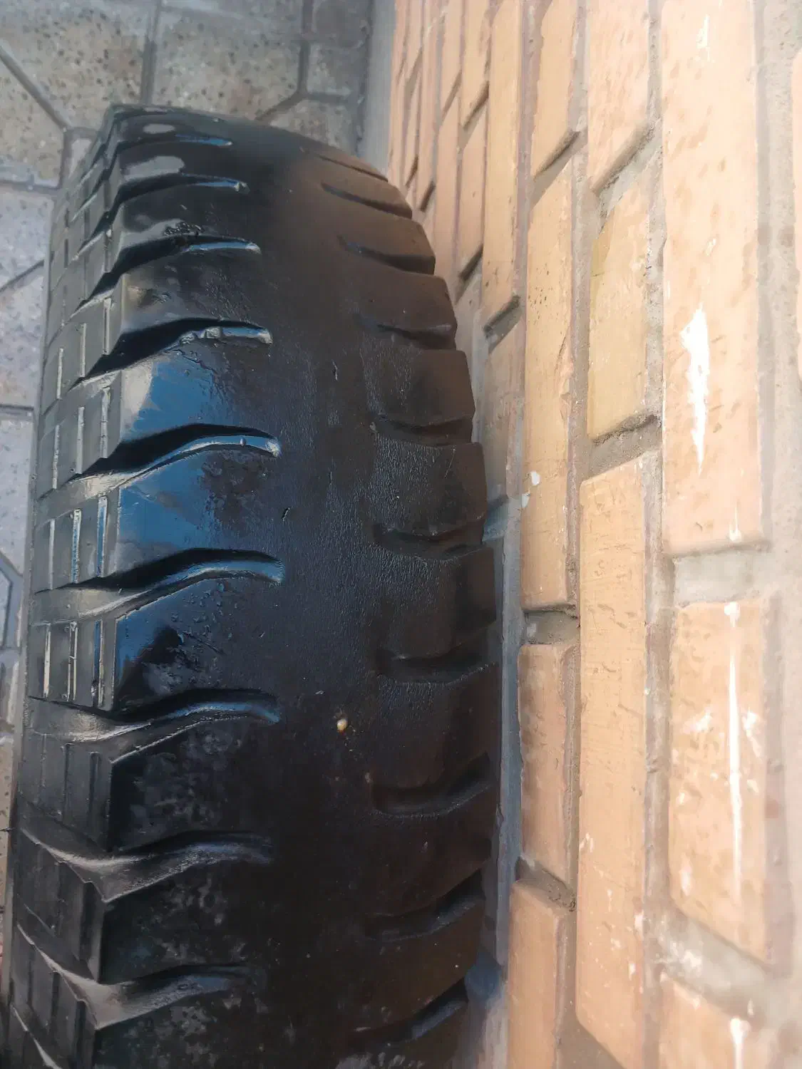 لاستیک نیسان|قطعات یدکی و لوازم جانبی|دهق, |دیوار