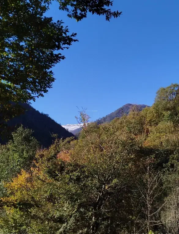 فروش ویلا با قابلیت اپارتمان سازی/دریاگوشه/متل قو|فروش خانه و ویلا|سلمان‌شهر, |دیوار