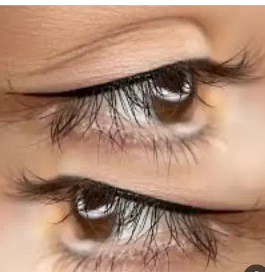 نیازمند مدل برای خط چشم ظریف و کلاسیک|خدمات آرایشگری و زیبایی|یزد, |دیوار