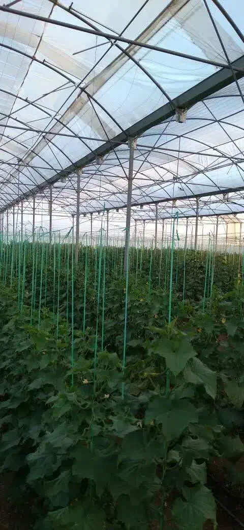 باغ وگلخانه‌|فروش دفتر صنعتی، کشاورزی، تجاری|کرمانشاه, |دیوار