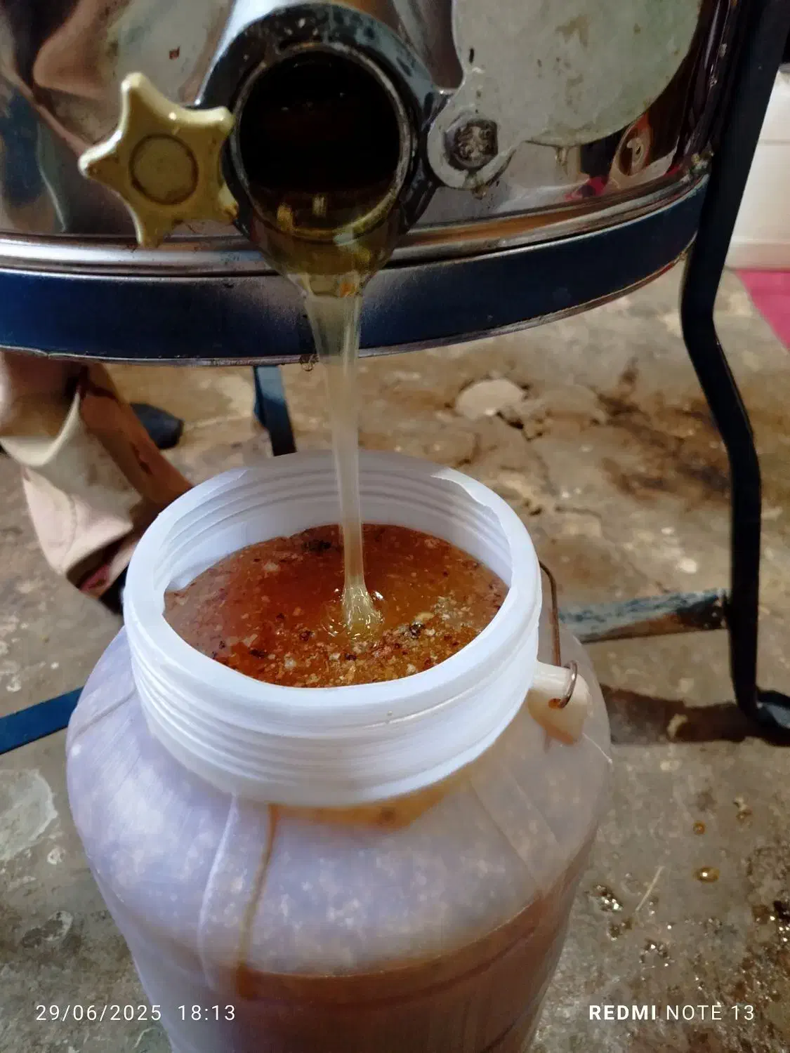 عسل طبیعی گَوَن|خوردنی و آشامیدنی|اندیکا, |دیوار