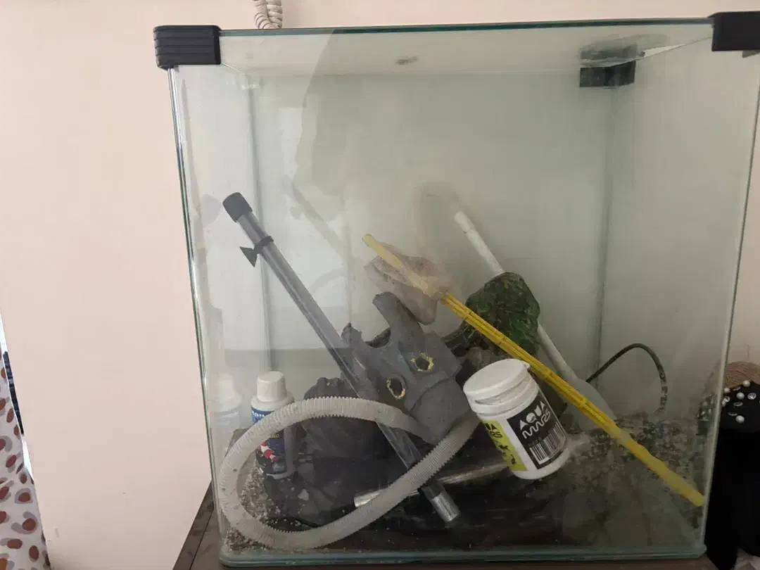 اکواریوم با لوازم خوب|ماهی|اندیشه, اندیشه فاز ۶|دیوار