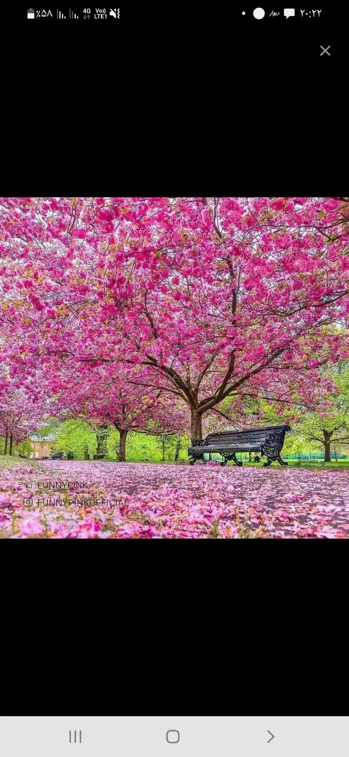 همسفر|فعالیت داوطلبانه|قم, میرزائیه|دیوار