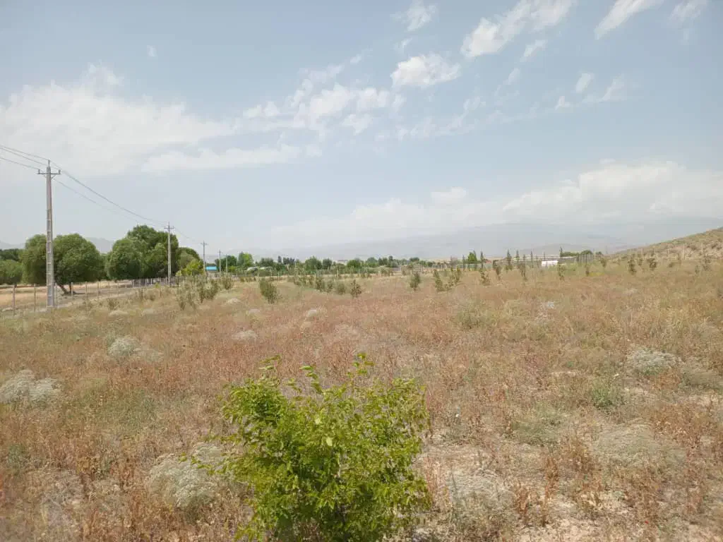 باغ ۹۰۰۰هزار متر|فروش زمین و ملک کلنگی|نیر (اردبیل), |دیوار