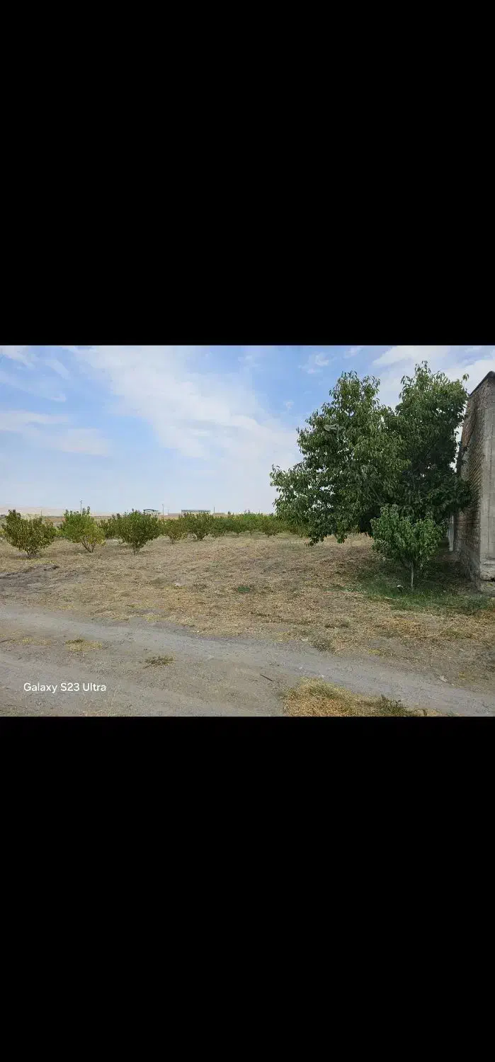 زمین ۲۳۰۰متر برای سرمایه گذاری عالی|فروش زمین و ملک کلنگی|مشگین شهر, |دیوار