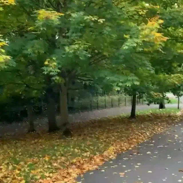 زمین|فروش زمین و ملک کلنگی|سبزوار, هویزه|دیوار