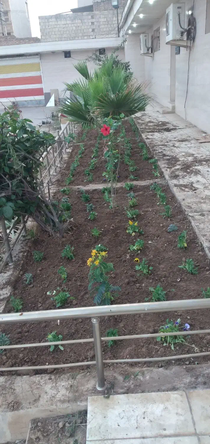 انواع خدمات باغبانی|خدمات باغبانی و درختکاری|اهواز, کیانپارس |دیوار