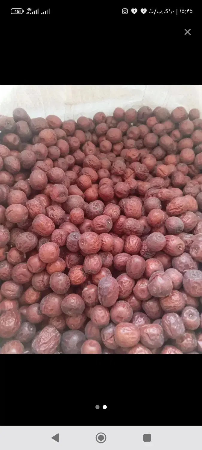 عناب شیرین|خوردنی و آشامیدنی|مود, |دیوار