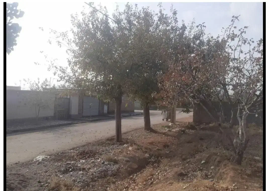 ملک مسکونی ۵۵۰متر|فروش زمین و ملک کلنگی|ساوه, |دیوار