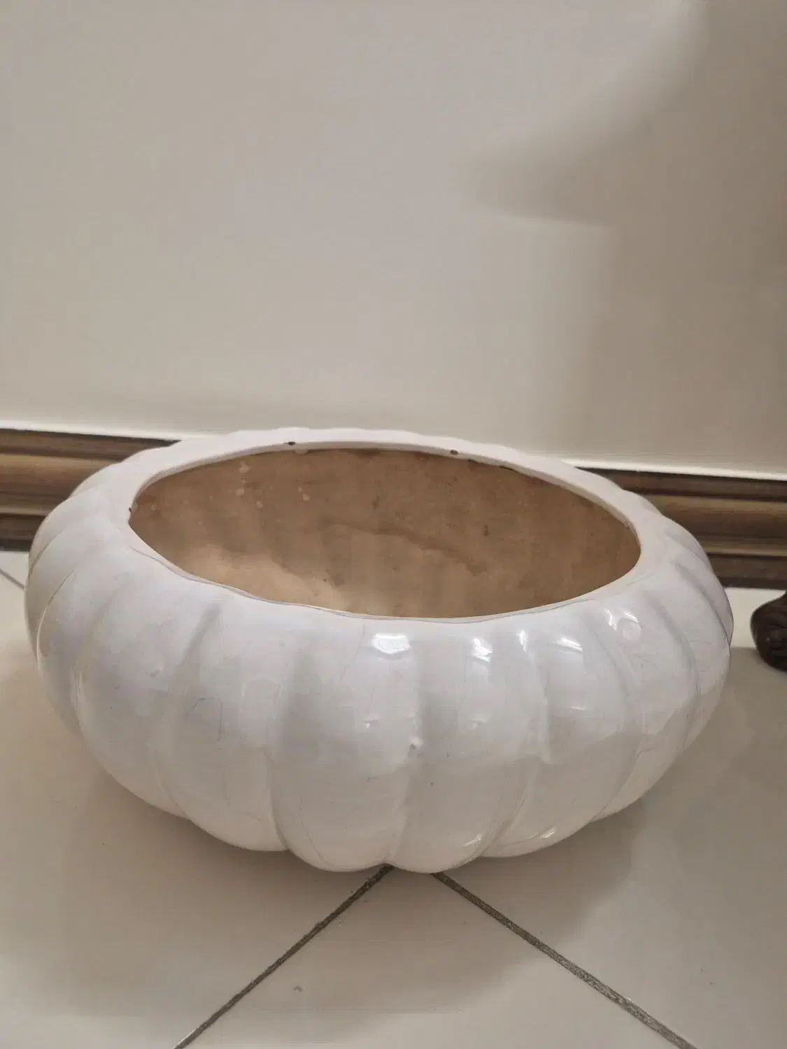 گلدون|گل و گیاه طبیعی|تهران, والفجر (افسریه)|دیوار