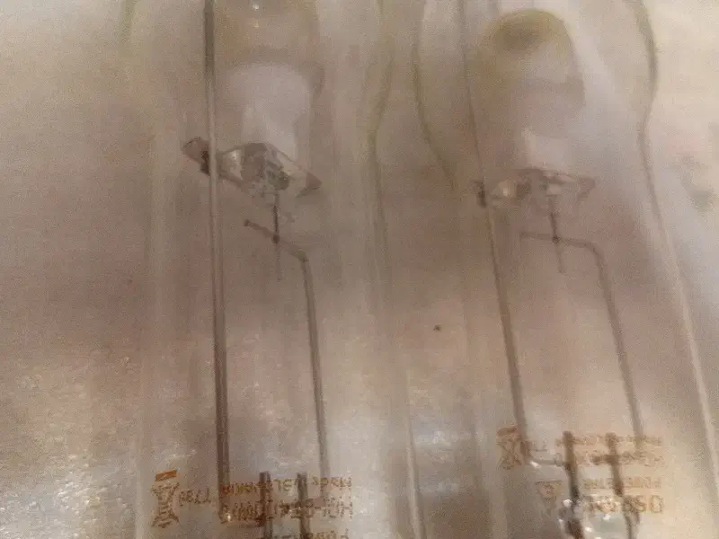 لامپ خیاری اسرام اصل ۲ عدد ۴۰۰ وات|لامپ و چراغ|ساری, |دیوار