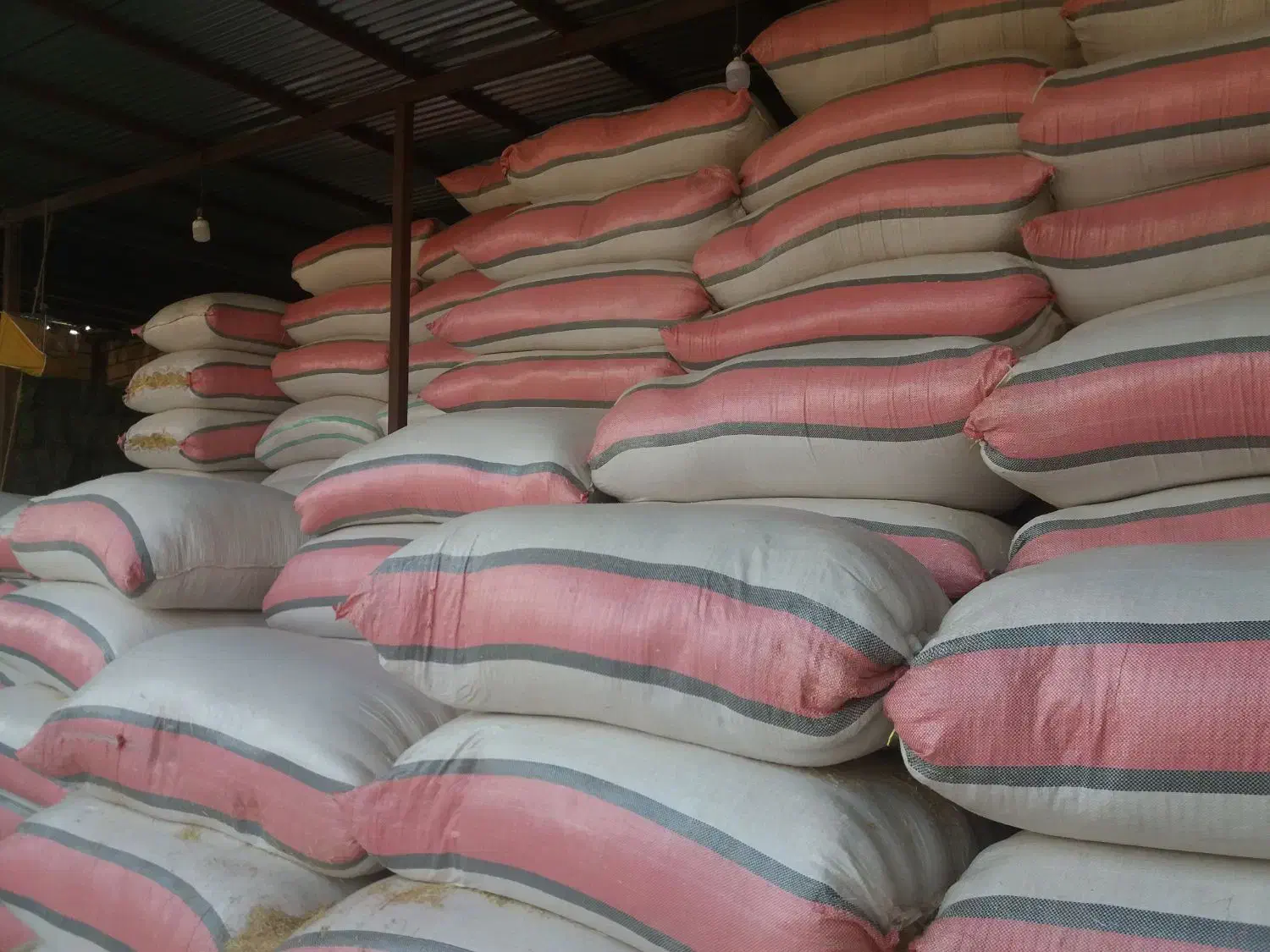 کاه. یونجه سبوس و جو و گندم|لوازم جانبی حیوانات|اصفهان, خانه اصفهان|دیوار