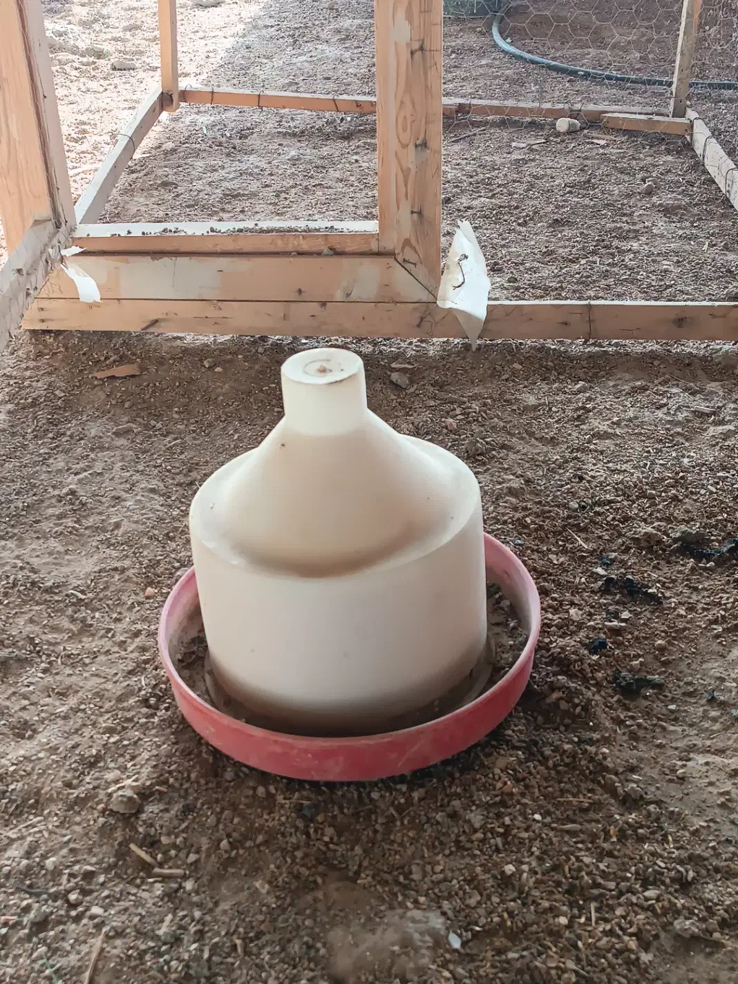 ابخوری|لوازم جانبی حیوانات|شیراز, گویم|دیوار