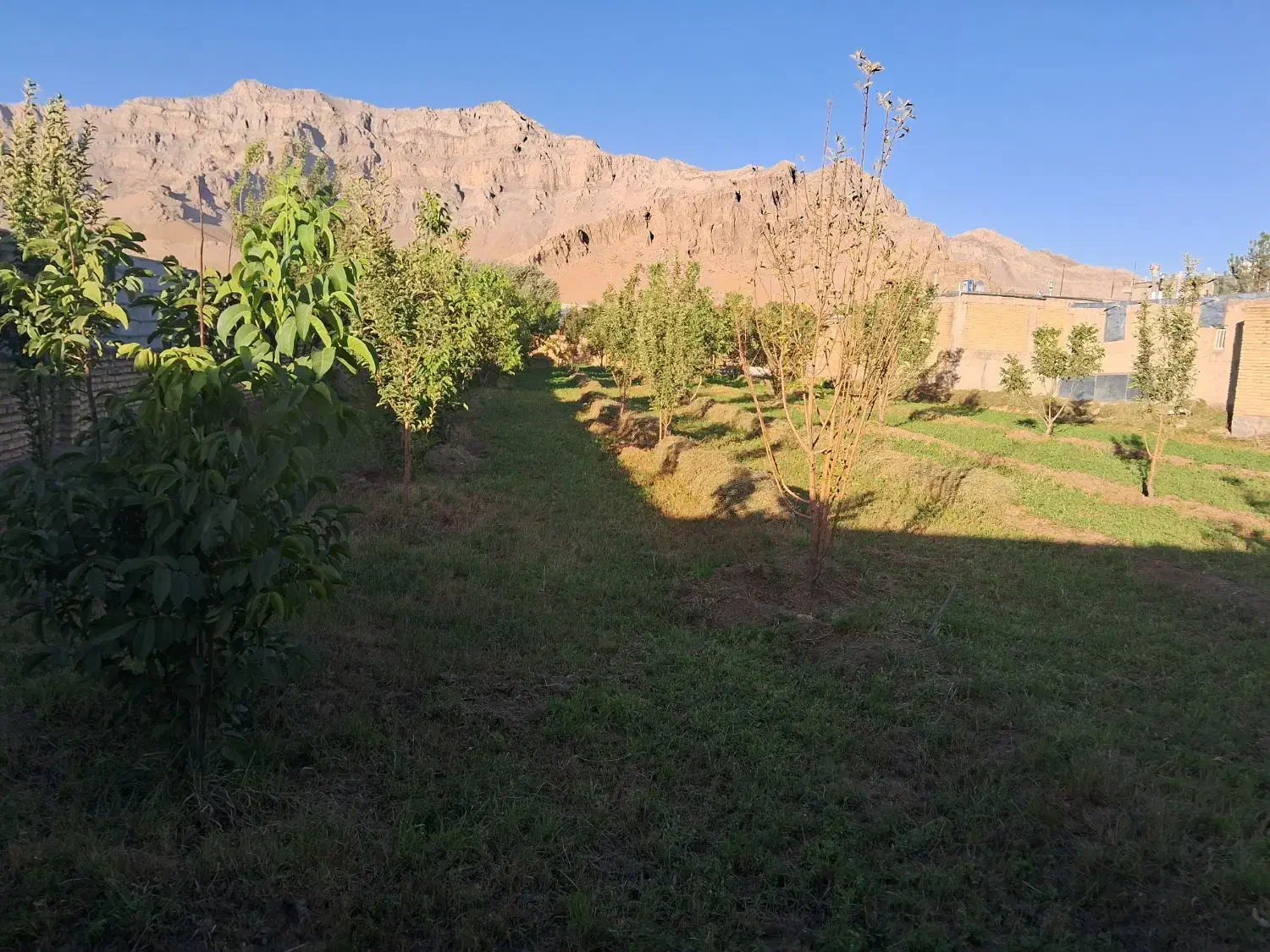 باغ و زمین مسکونی|فروش زمین و ملک کلنگی|خاوه, |دیوار