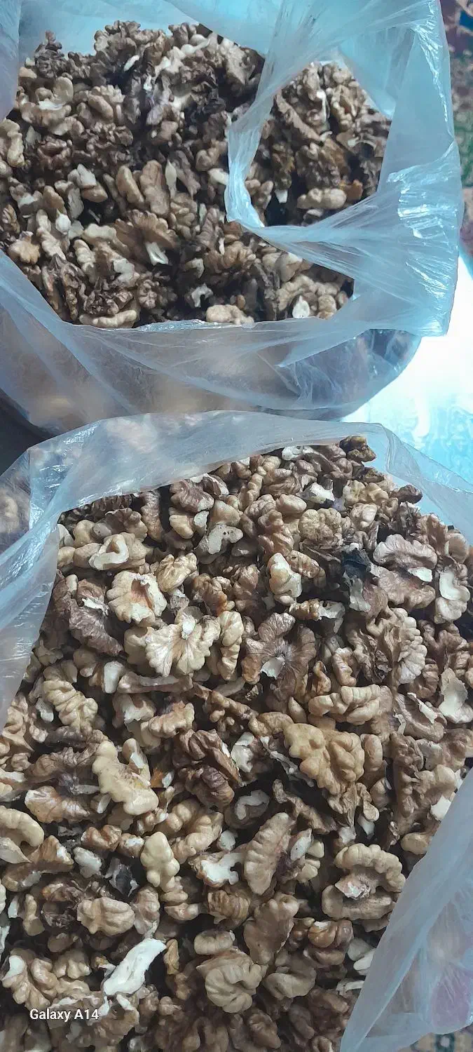 مغز گردو|حراج|یزد, |دیوار