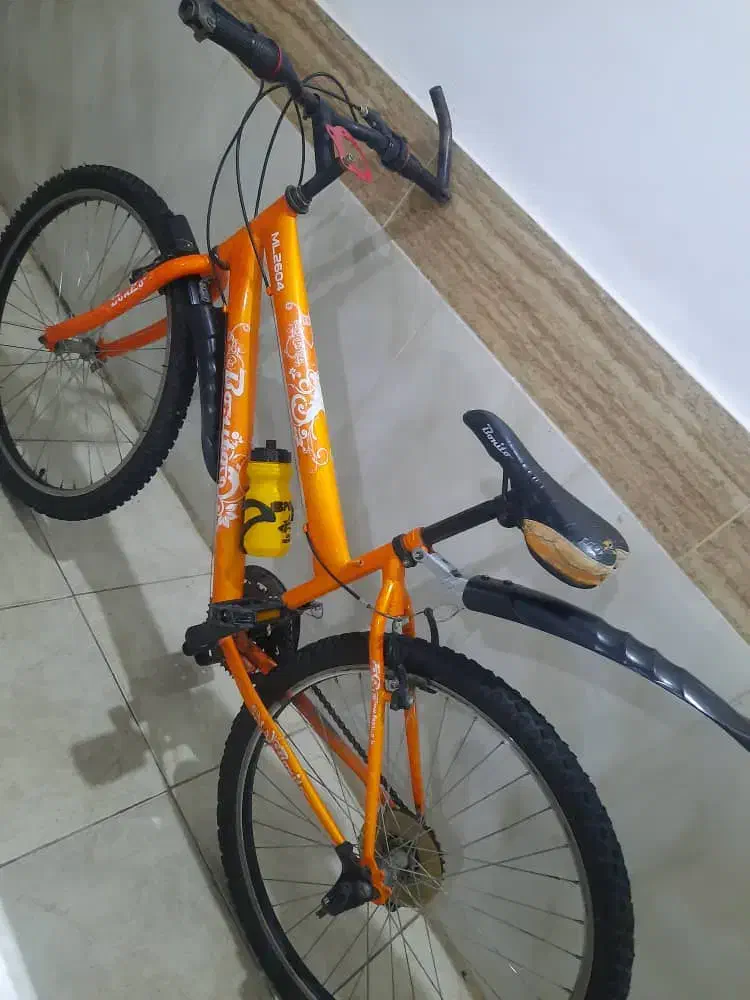 دوچرخه سایز ۲۶ بونیتو فابریک دنده ای لاستیک نو|دوچرخه، اسکیت، اسکوتر|مشهد, امیر|دیوار