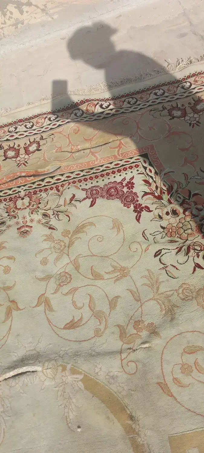 قالی ۱۲ متری|فرش|کازرون, |دیوار