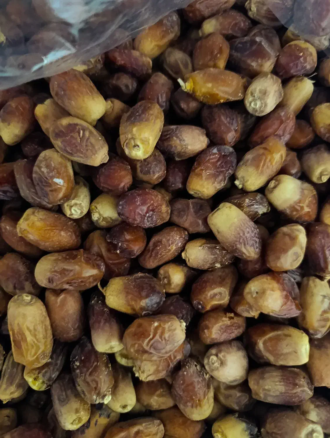 قصبک ، خرمایی زاهدی|خوردنی و آشامیدنی|شیراز, محمودیه|دیوار
