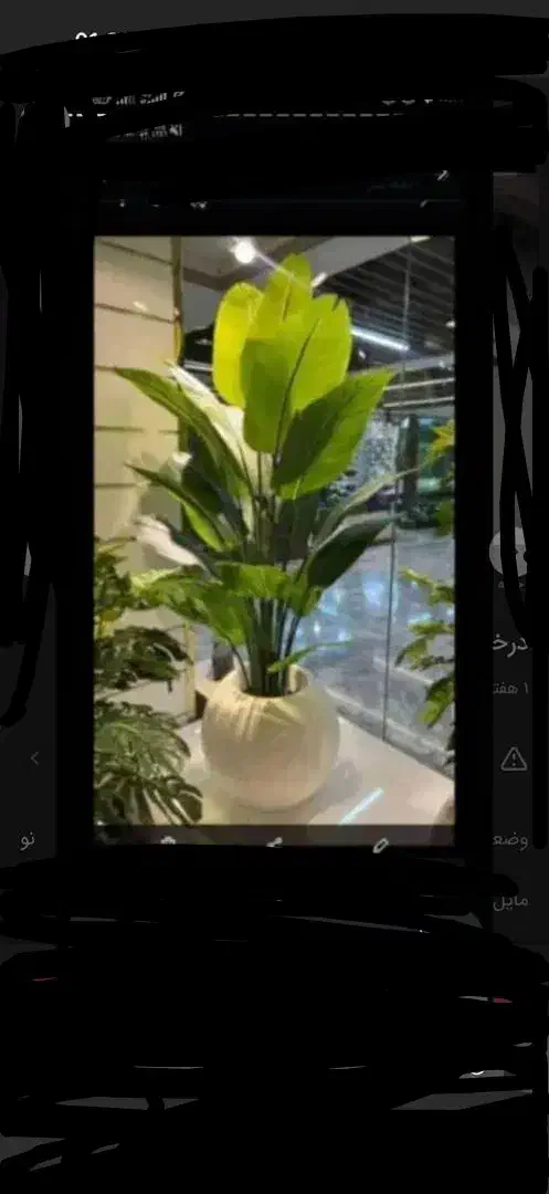 نیگولادرختچ ه|گل مصنوعی|تهران, مشیریه|دیوار