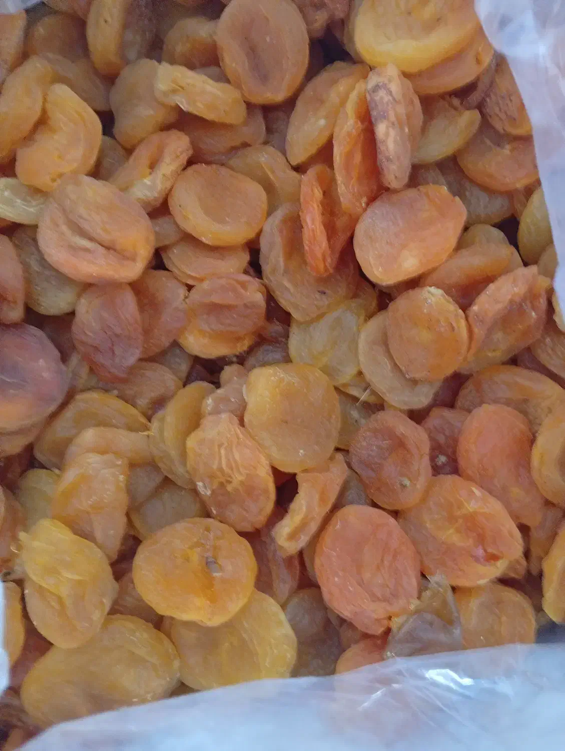 قیصی|خوردنی و آشامیدنی|مرودشت, ابوذر جنوبی|دیوار