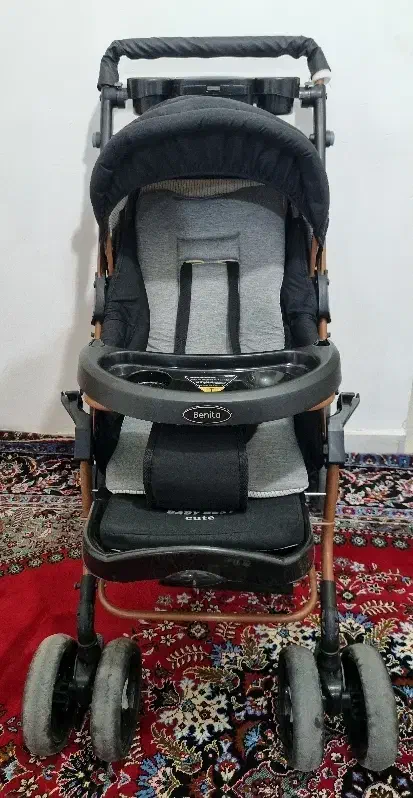 کالسکه دلیجان|کالسکه و لوازم جانبی|اردبیل, |دیوار