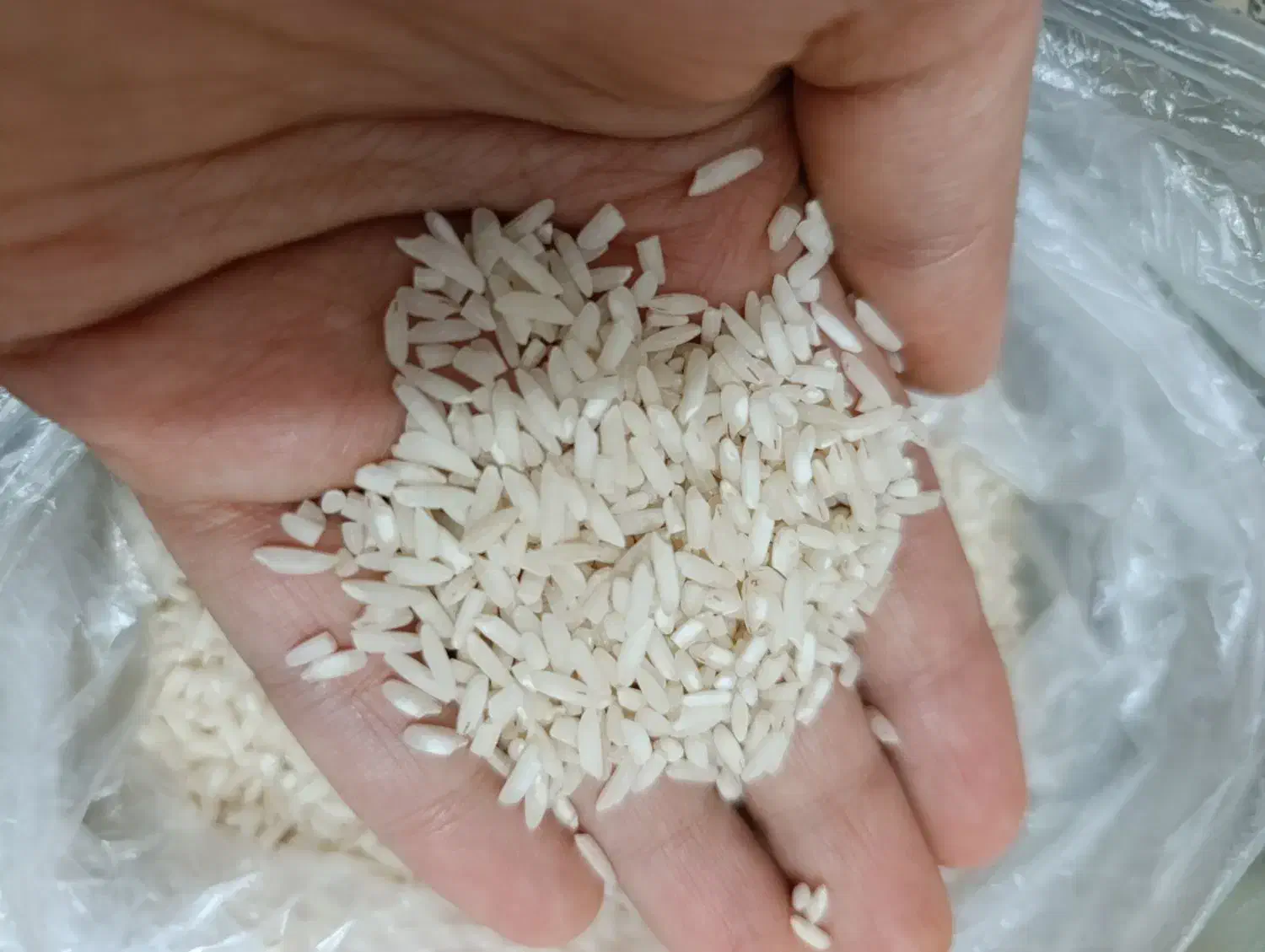 برنج فروشی|خوردنی و آشامیدنی|کلاچای, |دیوار