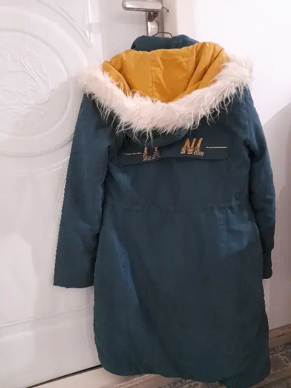 کاپشن سبز|لباس|خرم‌آباد, |دیوار