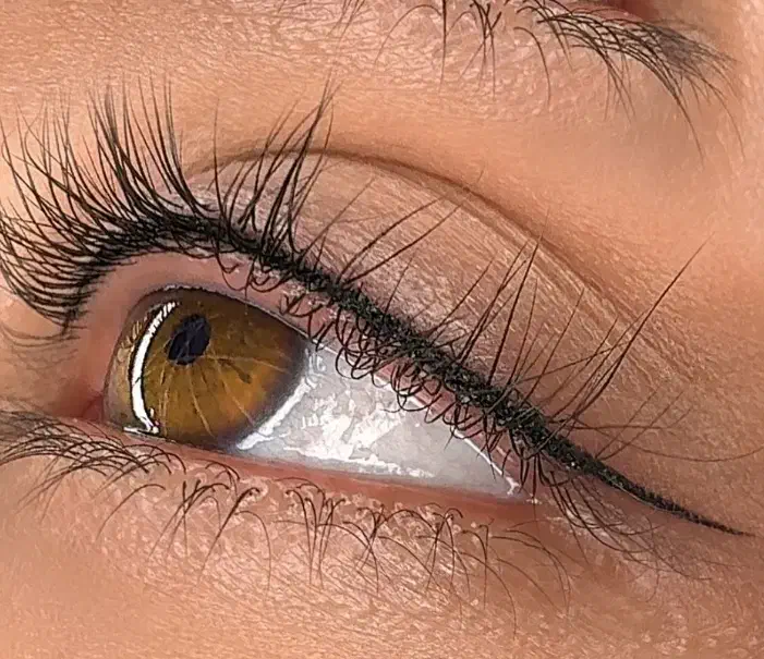 میکروبلیدینگ ابرو و بنمژه نمک آبرود|خدمات آرایشگری و زیبایی|چالوس, |دیوار