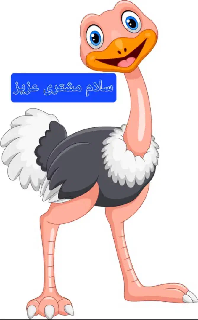 گوشت و محصولات شترمرغ|حیوانات مزرعه|بافق, |دیوار