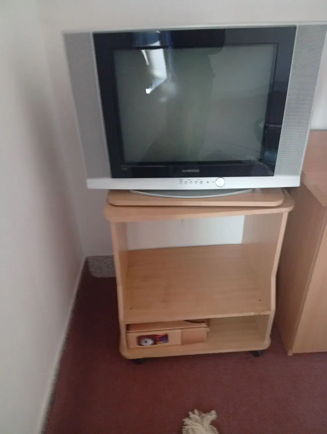 تلویزیون|تلویزیون و پروژکتور|آق قلا, |دیوار