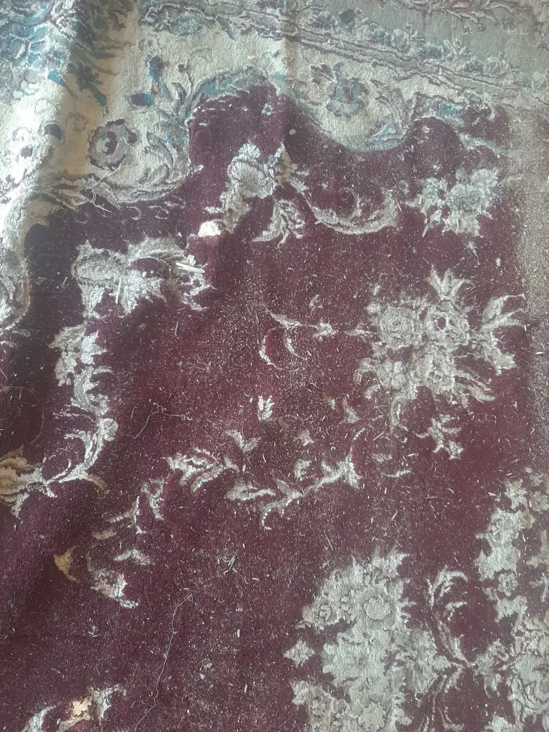 قالیشویی اتوماتیک فرهنگ|خدمات نظافت|شوشتر, |دیوار