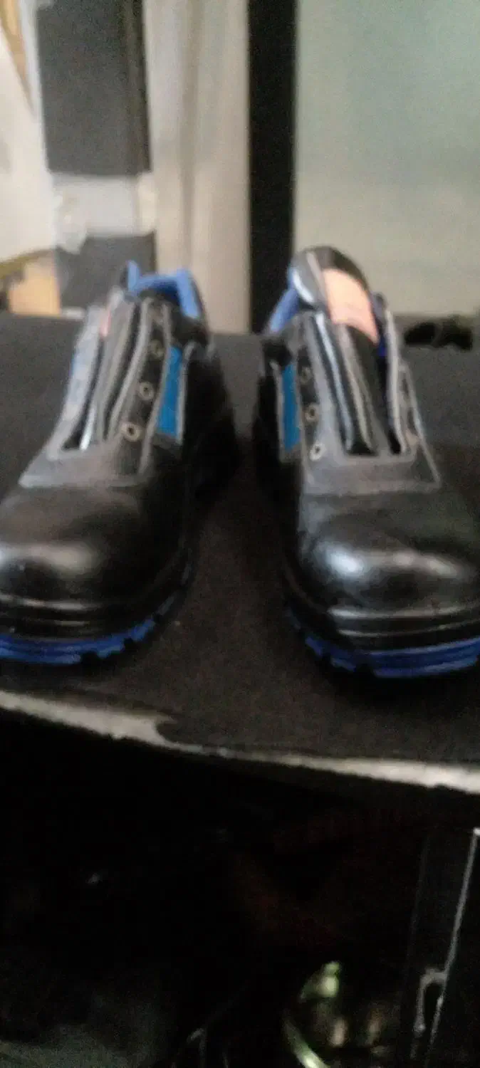 کفش ایمنی|کیف، کفش، کمربند|سهند, |دیوار