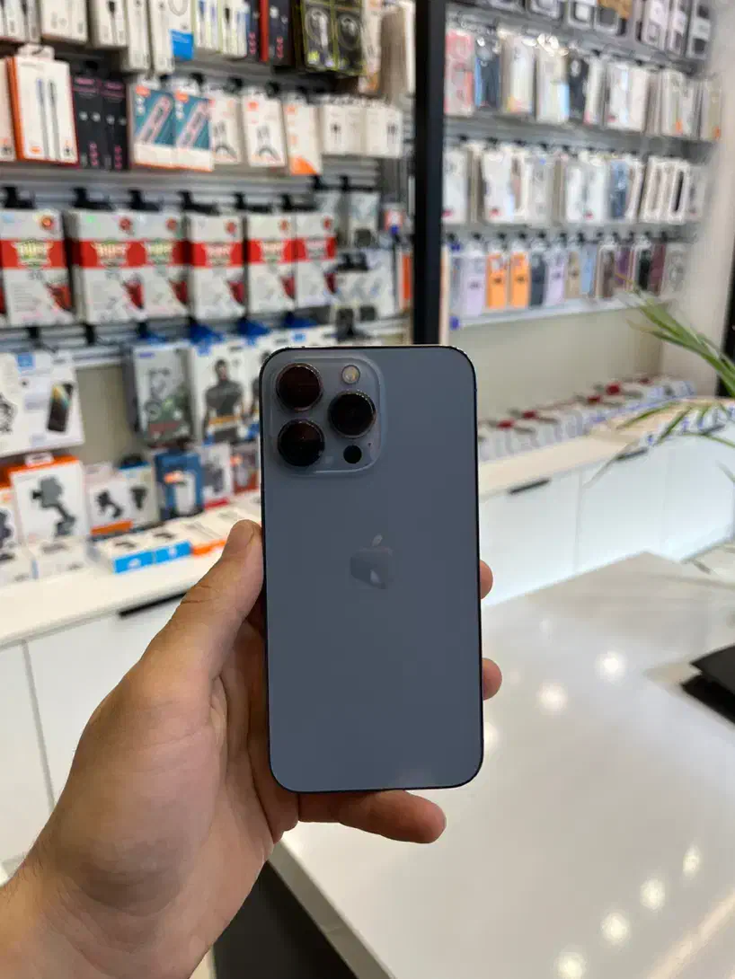 آیفون ۱۳ پرو، پک اصلی|موبایل|رشت, کاکتوس|دیوار