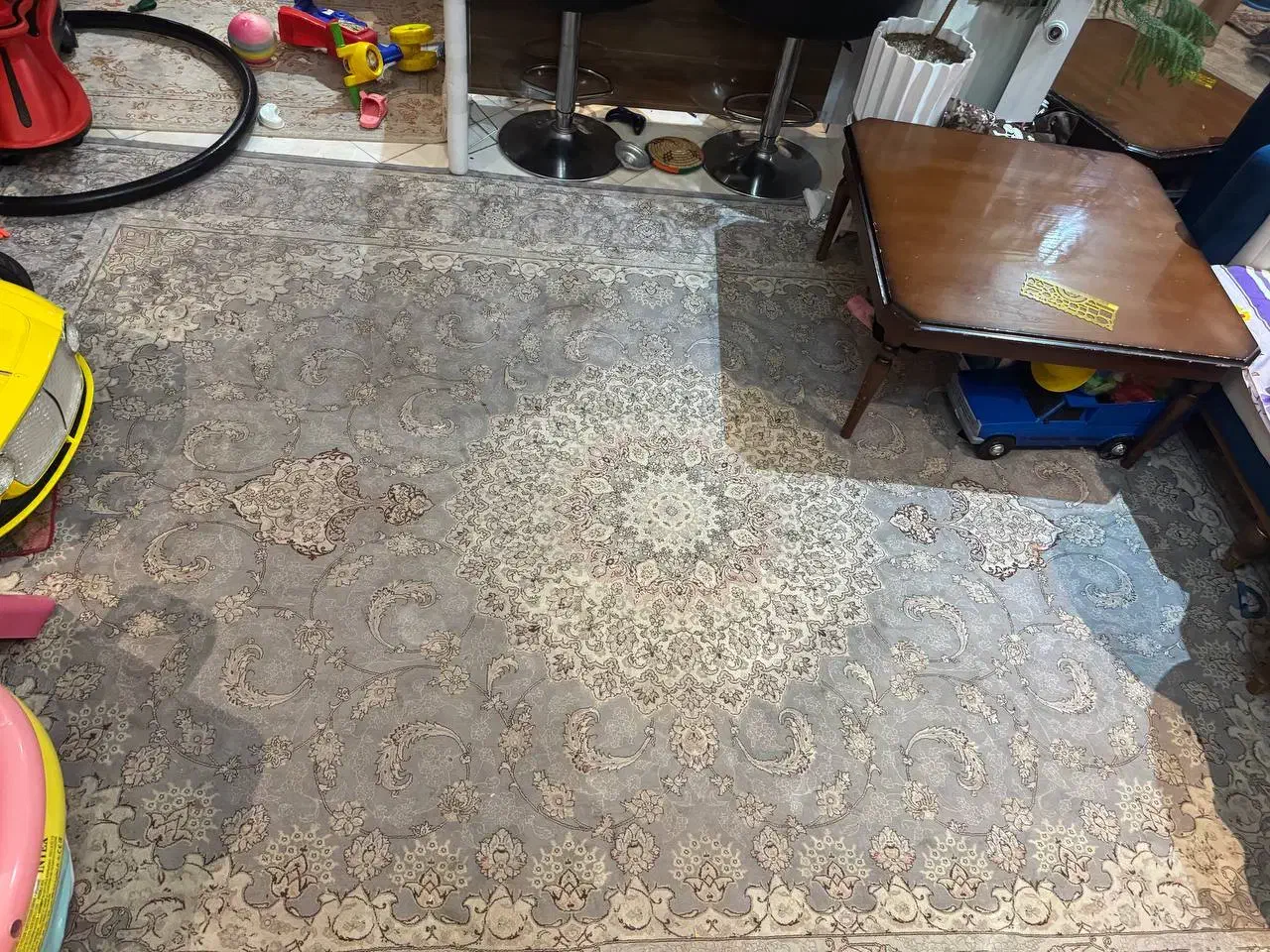 فرش ابریشم فرح|فرش|کرج, شاهینویلا|دیوار