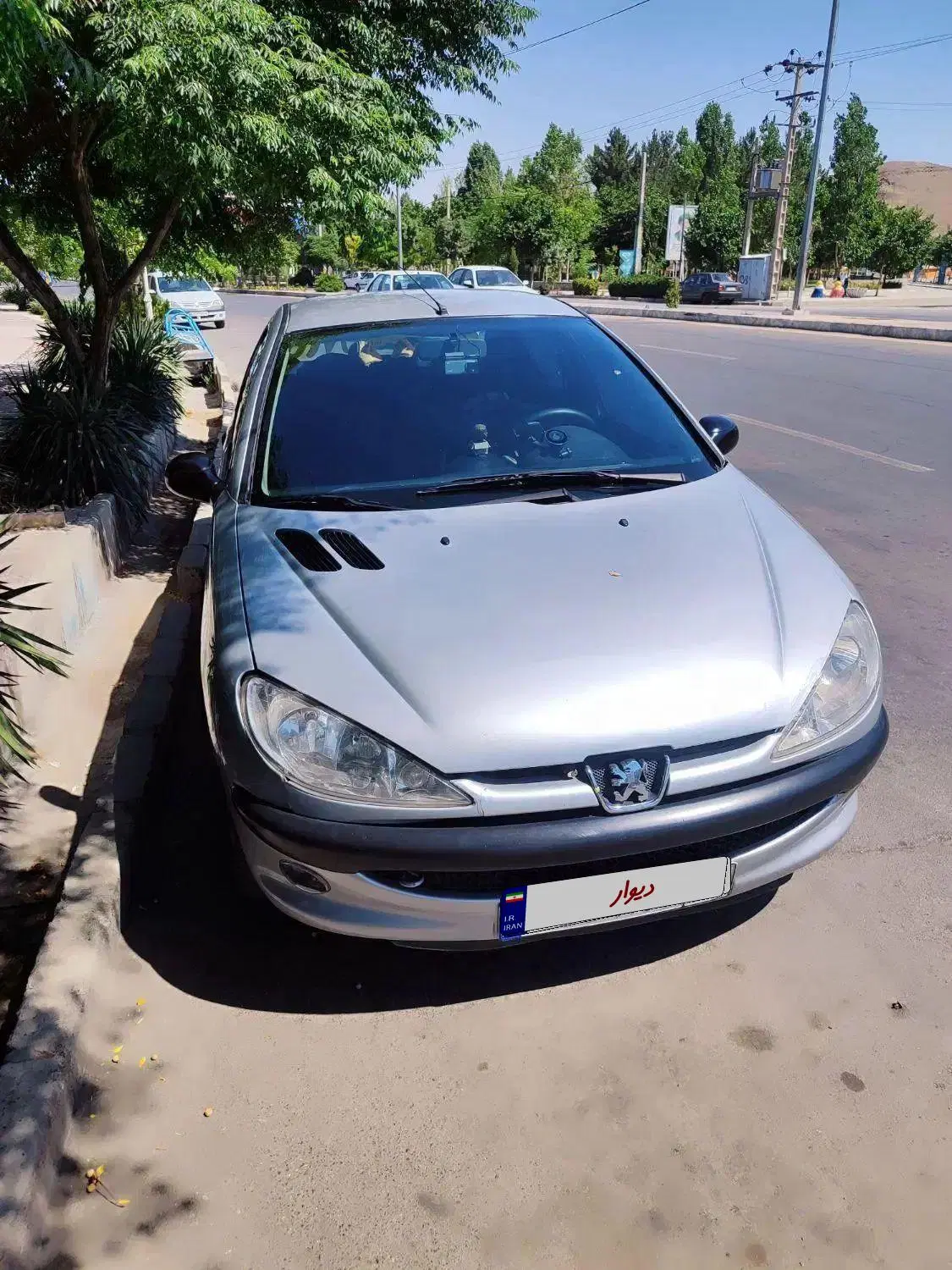206sd|خودرو سواری و وانت|تربت‌حیدریه, بی بی حسنیه|دیوار
