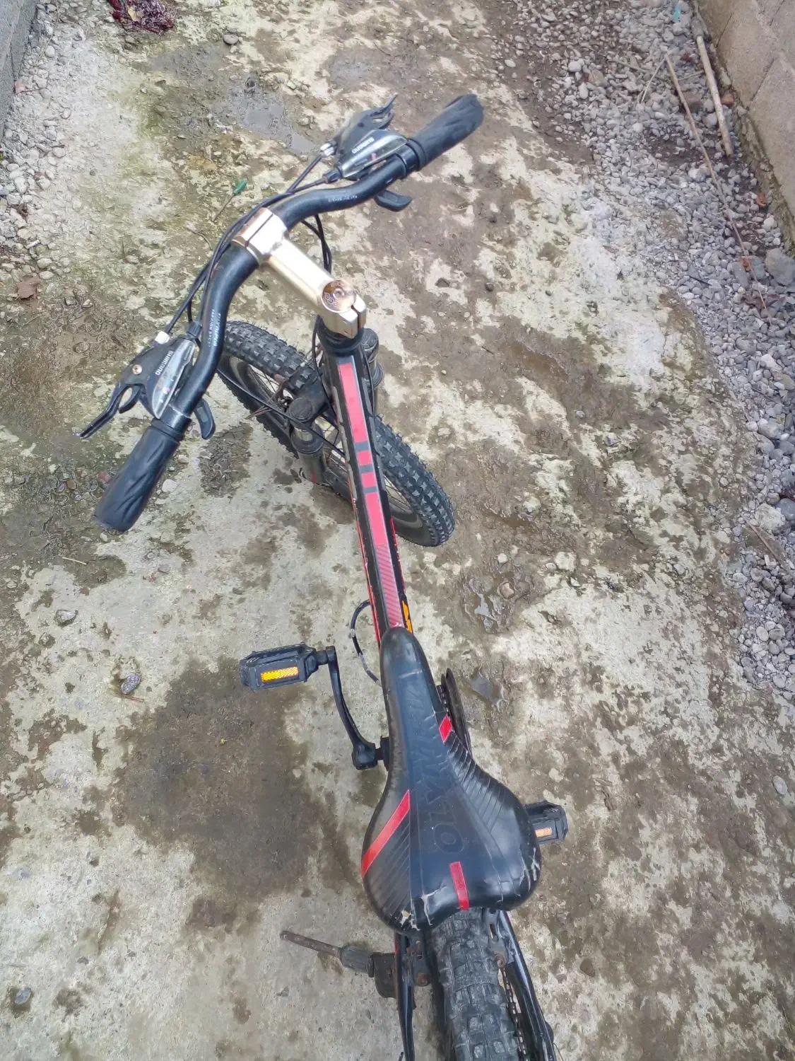 دوچرخه ۲۰|دوچرخه، اسکیت، اسکوتر|رشت, بیجارپس|دیوار