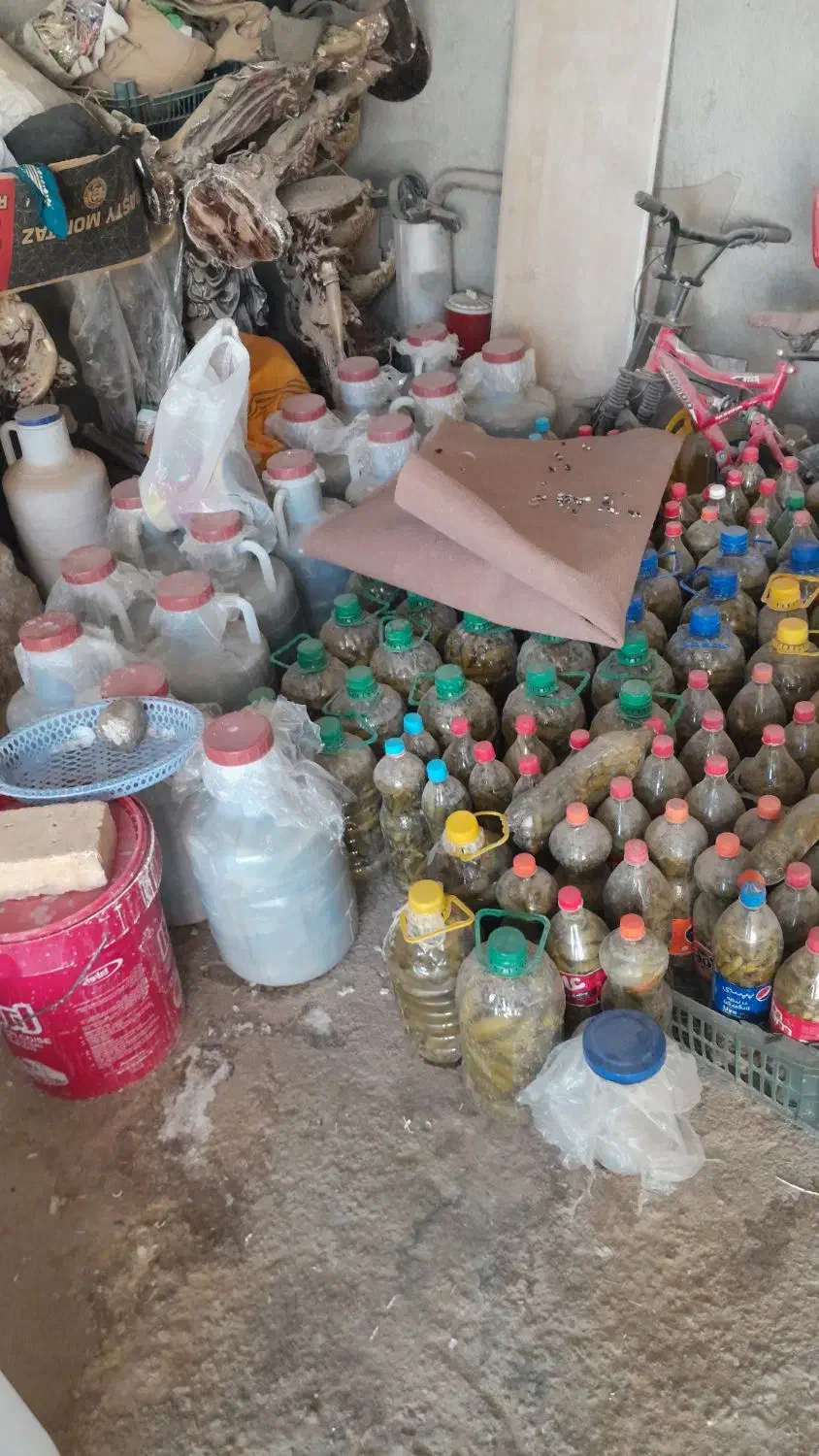 خیارشور خوش مزه|خوردنی و آشامیدنی|بزینه رود, |دیوار