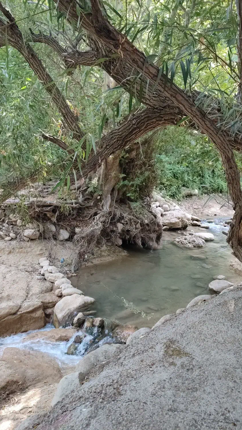 راهنمایی|فعالیت داوطلبانه|شیراز, ارم|دیوار