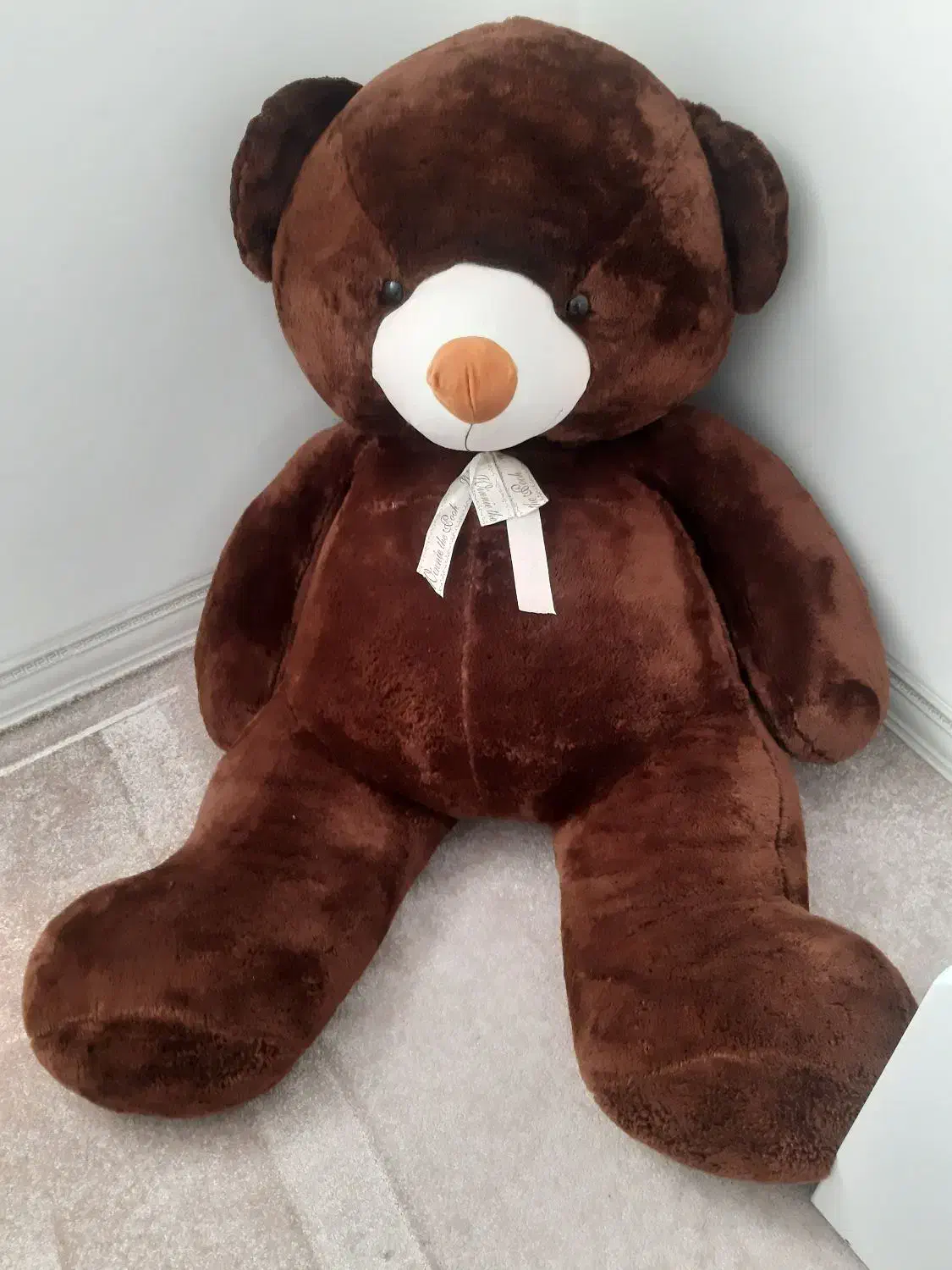 خرس بزرگ|اسباب‌بازی بچه|شیراز, میانرود|دیوار